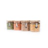 Clipverschluss Vorratsgläser mit Bambusdeckel 4er Set 750ml