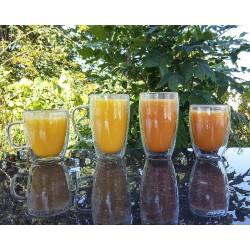 Doppelwandige 350 ml Gläser im 6er Set