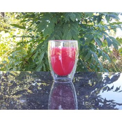 Doppelwandige 350 ml Gläser im 6er Set