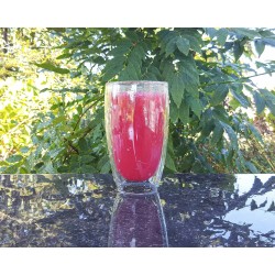 Doppelwandiges Glas 450 ml