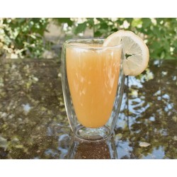 Doppelwandiges Glas 450 ml