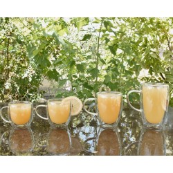 Doppelwandiges Glas mit Henkel 200 ml