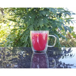 Doppelwandiges Glas mit Henkel 350 ml