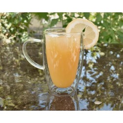 Doppelwandiges Glas mit Henkel 450 ml