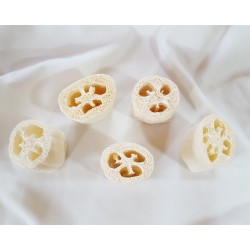 Luffa Schwamm 5er Set 7cm