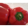 Obst und Gemüsebeutel Baumwolle 3er Set