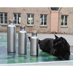 Thermosflasche aus Edelstahl 750 ml